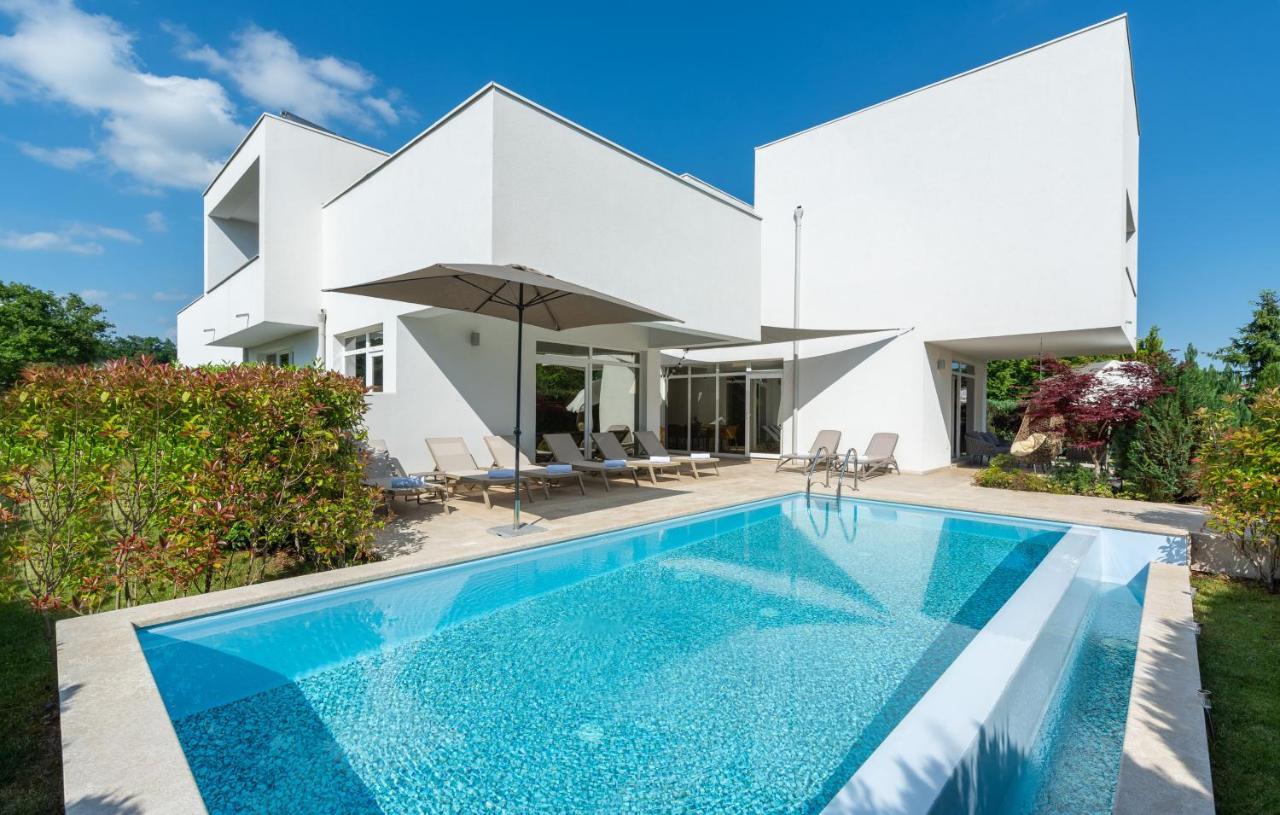 Villa Kate Istria Žminj Exterior foto